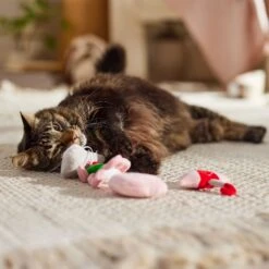 Frisco It's Raining Love Plush Cat Toy With Catnip, 4 Count -Frisco 298968 PT3. AC SS1800 V1701364859