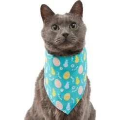 Frisco Spring Easter Egg Dog & Cat Bandana 11 Frisco Spring Easter Egg Dog & Cat Bandana -Frisco 300663 PT2. AC SS1800 V1641537094