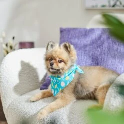 Frisco Spring Easter Egg Dog & Cat Bandana 14 Frisco Spring Easter Egg Dog & Cat Bandana -Frisco 300663 PT5. AC SS1800 V1641539822