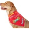 Frisco Official Cookie Tester Personalized Dog & Cat Bandana 1 Frisco Official Cookie Tester Personalized Dog & Cat Bandana -Frisco 301353 MAIN. AC SS1800 V1632923476