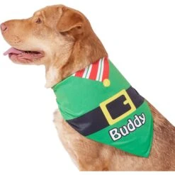 Frisco Santa's Favorite Elf Personalized Dog & Cat Bandana -Frisco 301369 PT6. AC SS1800 V1628100146