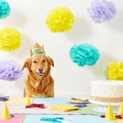 Frisco Happy Birthday Dog & Cat Crown & Frisco It's My Birthday & Cat T-Shirt -Frisco 302470 PT3. AC SS1800 V1623073946