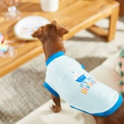 Frisco Happy Birthday Dog & Cat Crown & Frisco It's My Birthday & Cat T-Shirt -Frisco 302470 PT7. AC SS1800 V1623037657