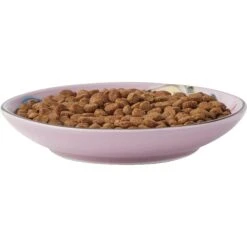 Frisco Paris Non-skid Ceramic Cat Dish & Frisco Paris Non-skid Ceramic Cat Dish 12 Frisco Paris Non-skid Ceramic Cat Dish & Frisco Paris Non-skid Ceramic Cat Dish -Frisco 302490 PT2. AC SS1800 V1623058041
