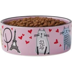 Frisco Paris Non-skid Ceramic Cat Dish & Frisco Paris Non-skid Ceramic Cat Dish 16 Frisco Paris Non-skid Ceramic Cat Dish & Frisco Paris Non-skid Ceramic Cat Dish -Frisco 302490 PT6. AC SS1800 V1623067060