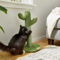 Frisco Cactus Cat Scratching Post & Frisco Dangly Avocado Buddy Plush Cat Toy With Catnip 12 Frisco Cactus Cat Scratching Post & Frisco Dangly Avocado Buddy Plush Cat Toy With Catnip -Frisco 303380 PT3. AC SS1800 V1623081149