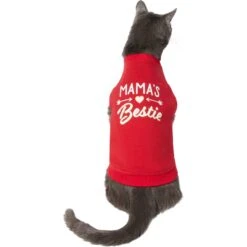 Frisco Mama's Bestie Dog & Cat T-Shirt -Frisco 312056 PT2. AC SS1800 V1644425822