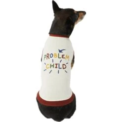 Frisco Problem Child Dog & Cat T-Shirt -Frisco 312064 PT3. AC SS1800 V1673303532