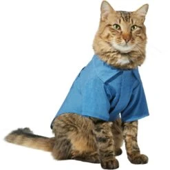 Frisco Chambray Pineapple Dog & Cat Shirt -Frisco 312192 PT2. AC SS1800 V1644528879