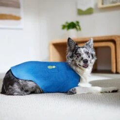 Frisco Chambray Pineapple Dog & Cat Shirt -Frisco 312192 PT8. AC SS1800 V1644526681