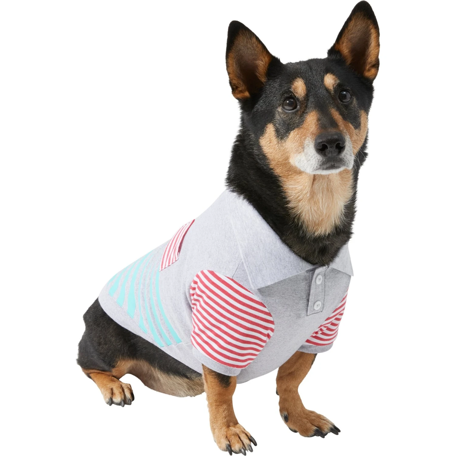 Frisco Striped Polo Dog & Cat Shirt 3 Frisco Striped Polo Dog & Cat Shirt