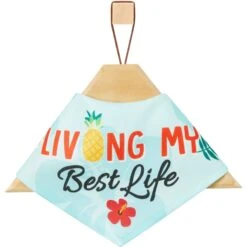 Frisco Living My Best Life Dog & Cat Bandana -Frisco 312288 PT3. AC SS1800 V1644883285