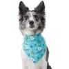 Frisco Spring Floral Dog & Cat Bandana 1 Frisco Spring Floral Dog & Cat Bandana -Frisco 312294 MAIN. AC SS1800 V1644879397