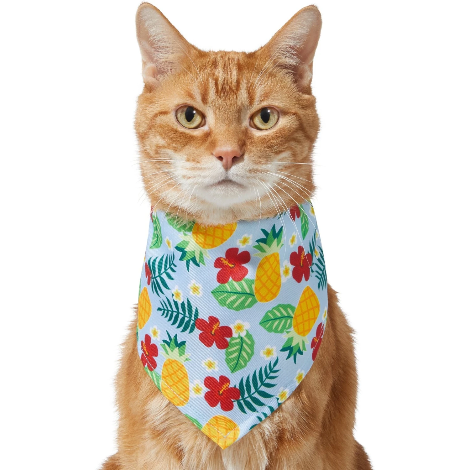 Frisco Hawaiian Pineapple Dog & Cat Bandana 5 Frisco Hawaiian Pineapple Dog & Cat Bandana - Image 3