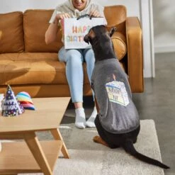 Frisco Birthday Pup Dog & Cat T-Shirt 13 Frisco Birthday Pup Dog & Cat T-Shirt -Frisco 315076 PT8. AC SS1800 V1646438210