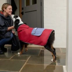Frisco Lightweight Red Reversible Packable Dog Raincoat 17 Frisco Lightweight Red Reversible Packable Dog Raincoat -Frisco 315109 PT8. AC SS1800 V1646437779