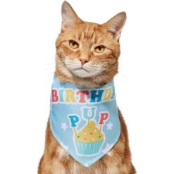 Frisco Birthday Pup Dog & Cat Bandana 11 Frisco Birthday Pup Dog & Cat Bandana -Frisco 315130 PT2. AC SS1800 V1646437964