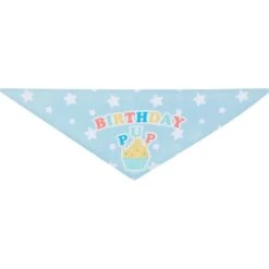 Frisco Birthday Pup Dog & Cat Bandana 13 Frisco Birthday Pup Dog & Cat Bandana -Frisco 315130 PT5. AC SS1800 V1646434611