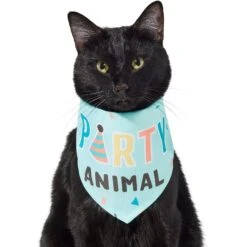 Frisco Party Animal Dog & Cat Bandana -Frisco 315136 PT2. AC SS1800 V1646438016