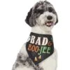 Frisco Bad & Boo-Jee Dog & Cat Costume Bandana