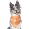 Frisco Orange Spiderweb Dog & Cat Costume Bandana 1 Frisco Orange Spiderweb Dog & Cat Costume Bandana -Frisco 335046 MAIN. AC SS1800 V1658719175