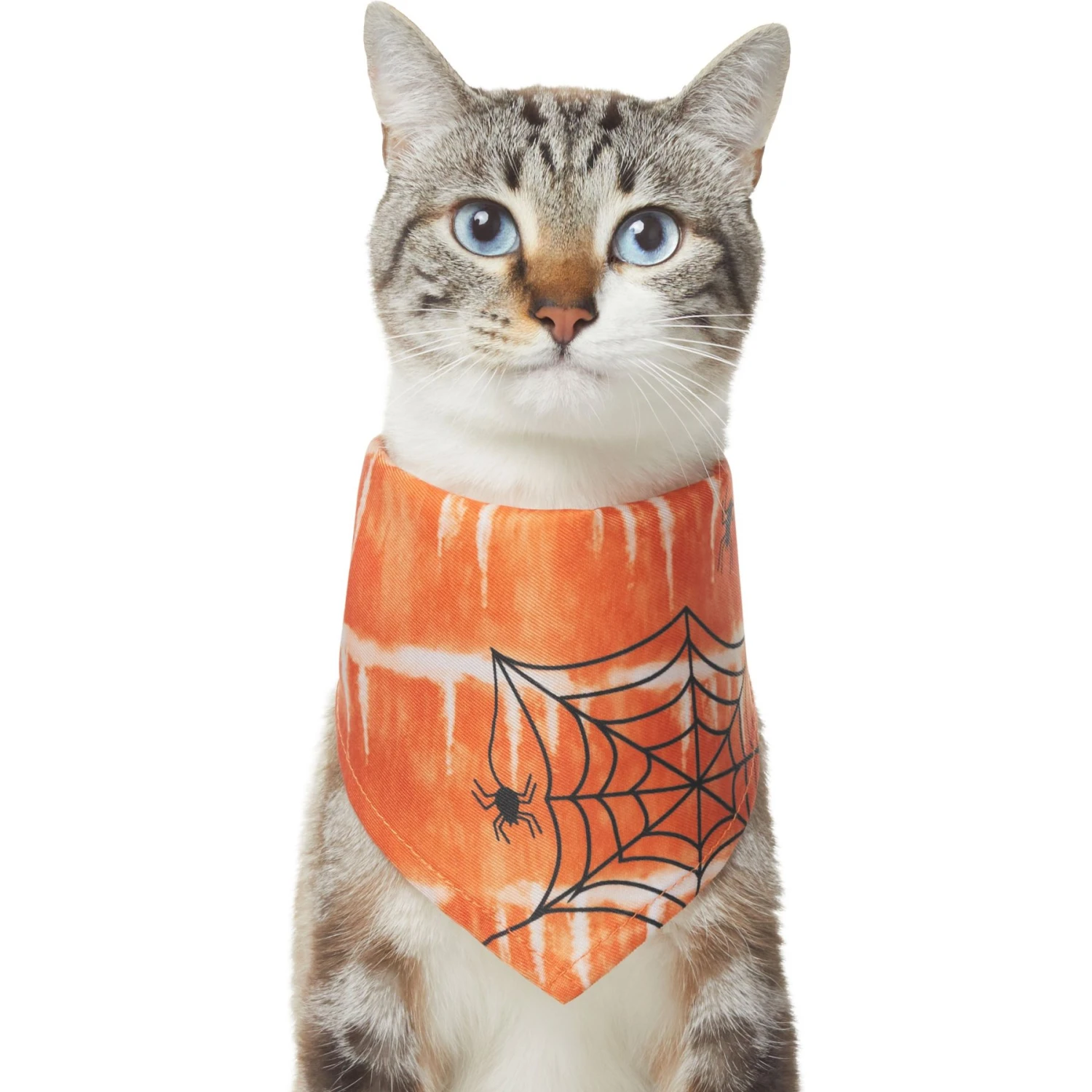 Frisco Orange Spiderweb Dog & Cat Costume Bandana 5 Frisco Orange Spiderweb Dog & Cat Costume Bandana - Image 3