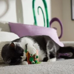 Frisco Haunted Burger Plush Cat Toy With Catnip 7 Frisco Haunted Burger Plush Cat Toy With Catnip -Frisco 344056 PT3. AC SS1800 V1657657030