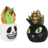Frisco Halloween Succulents Plush Cat Toy With Catnip, 2 Count -Frisco 344082 MAIN. AC SS1800 V1657657033