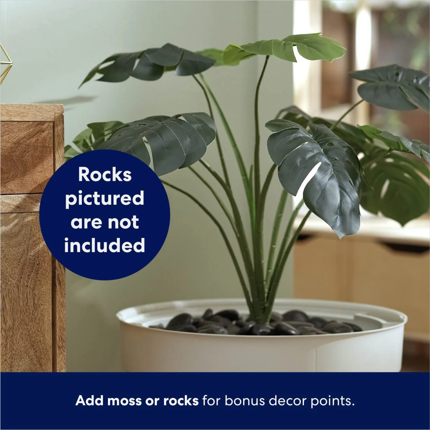 Frisco Hidden Planter Cat Litter Box, 16-in 7 Frisco Hidden Planter Cat Litter Box, 16-in - Image 5