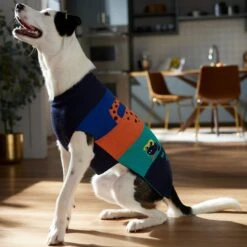 Frisco Anaconda Cheetah Colorblock Dog & Cat Sweater 14 Frisco Anaconda Cheetah Colorblock Dog & Cat Sweater -Frisco 353596 PT7. AC SS1800 V1660749560