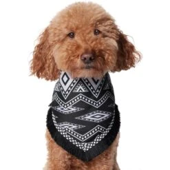 Frisco Southwest Fringe Dog & Cat Bandana -Frisco 353783 PT2. AC SS1800 V1659007315