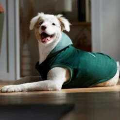 Frisco Lightweight Classic Dog & Cat Coat 14 Frisco Lightweight Classic Dog & Cat Coat -Frisco 353901 PT7. AC SS1800 V1660749440