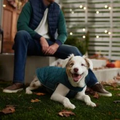 Frisco Mediumweight Reversible Dog & Cat Coat -Frisco 353932 PT7. AC SS1800 V1660749442