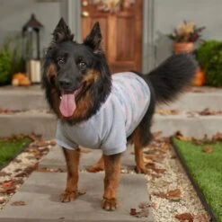 Frisco Pink Tie Dye Dog & Cat Hoodie 16 Frisco Pink Tie Dye Dog & Cat Hoodie -Frisco 353981 PT7. AC SS1800 V1660749835