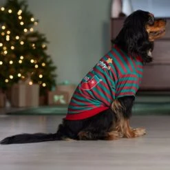 Frisco Naughty, Nice, I Tried Dog & Cat T-Shirt -Frisco 358301 PT7. AC SS1800 V1661797473