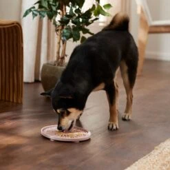 Frisco Silicone Dog & Cat Lick Mat With Suction Cups, Pink -Frisco 363395 PT2. AC SS1800 V1660750521