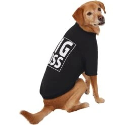 Frisco Big Boss Dog & Cat T-Shirt 12 Frisco Big Boss Dog & Cat T-Shirt -Frisco 368782 PT4. AC SS1800 V1669100910