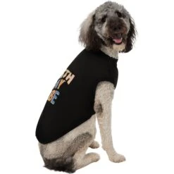 Frisco Birthday Vibe Dog & Cat T-Shirt 12 Frisco Birthday Vibe Dog & Cat T-Shirt -Frisco 368790 PT4. AC SS1800 V1669100229