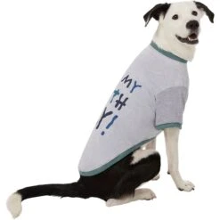 Frisco It's My Birth Day Dog & Cat T-Shirt -Frisco 368808 PT4. AC SS1800 V1669101517