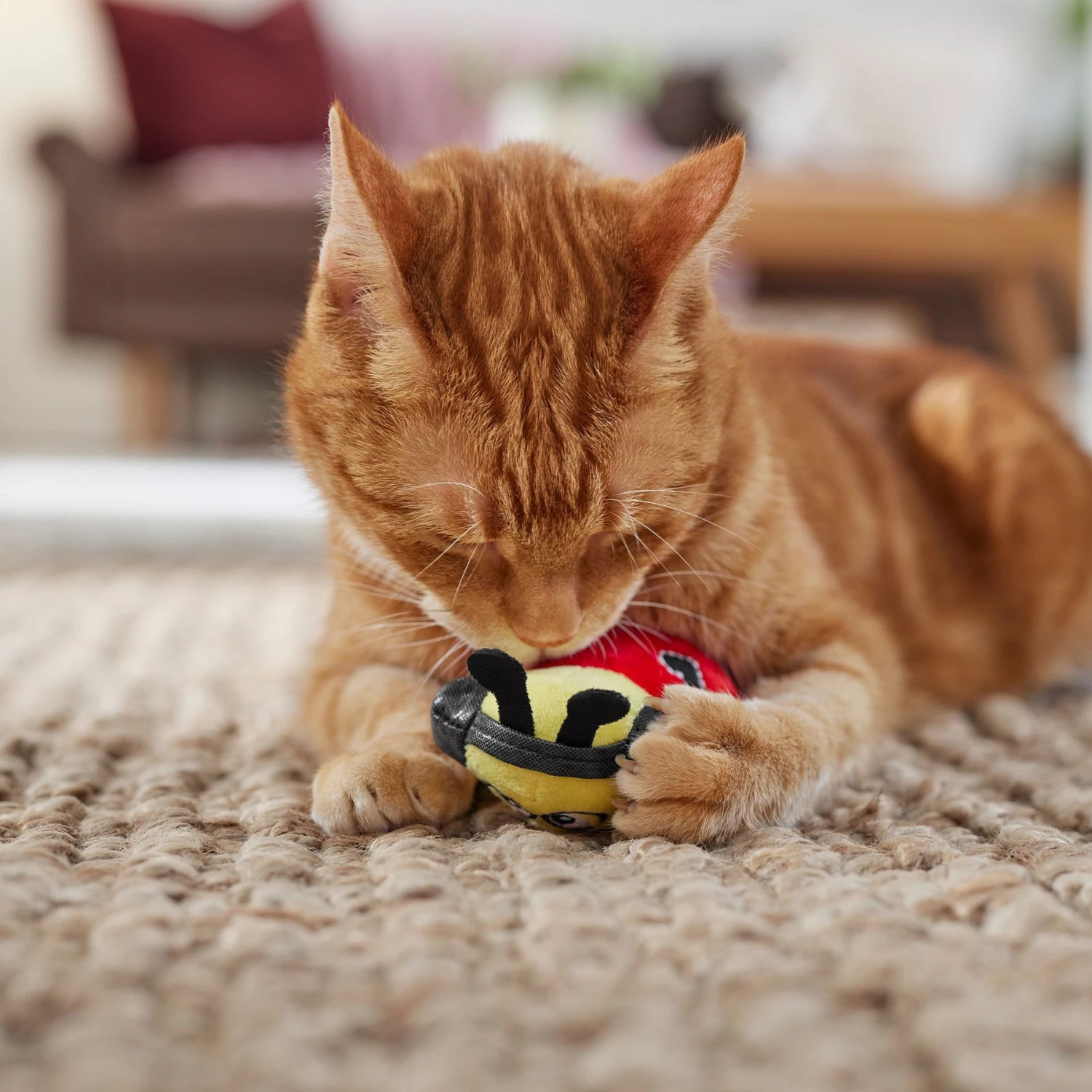 Frisco Valentine Jammin' Ladybug Plush Cat Toy With Catnip 6 Frisco Valentine Jammin' Ladybug Plush Cat Toy With Catnip - Image 4