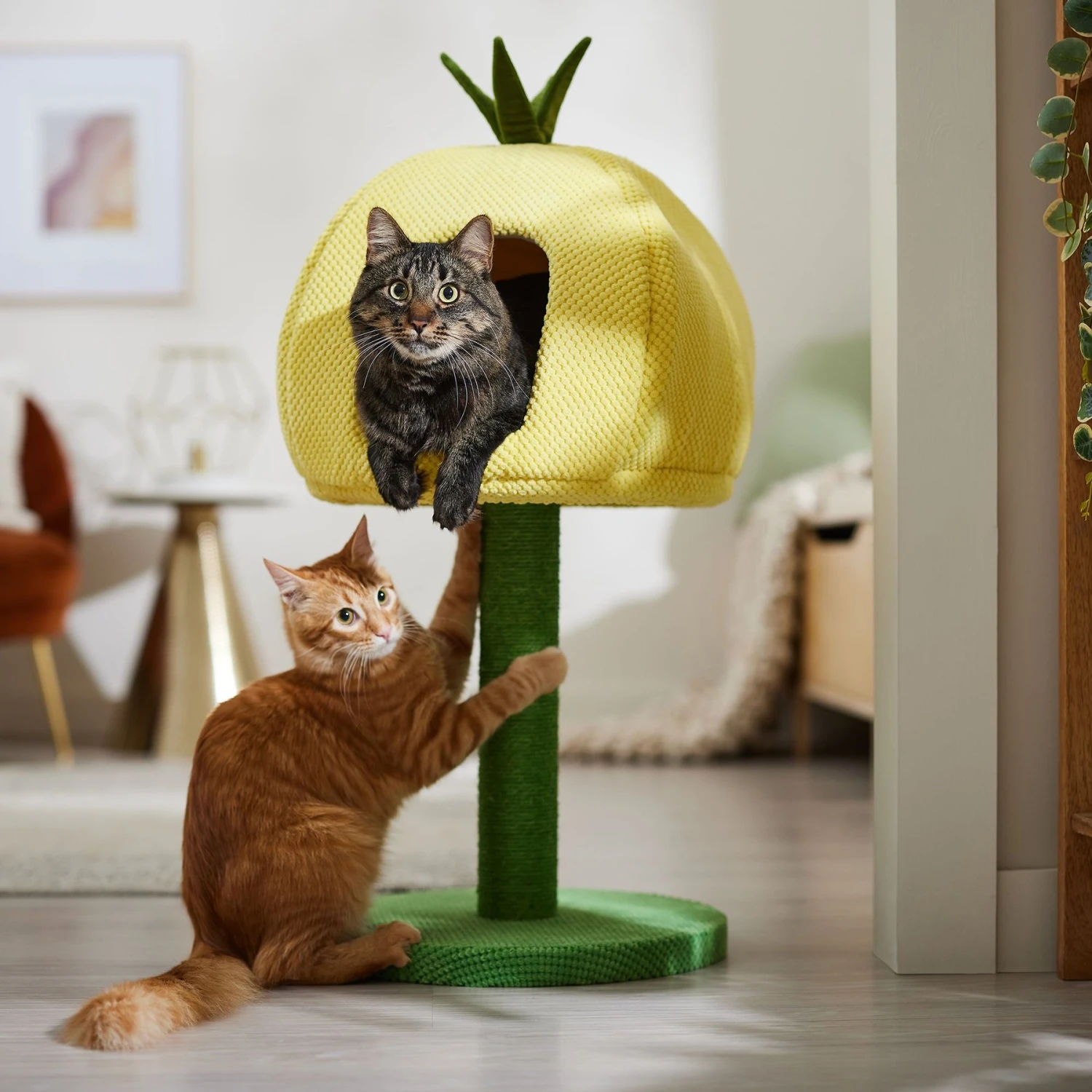 Frisco Pineapple 33.5" Plush Cat Scratching Post And Condo 3 Frisco Pineapple 33.5" Plush Cat Scratching Post And Condo