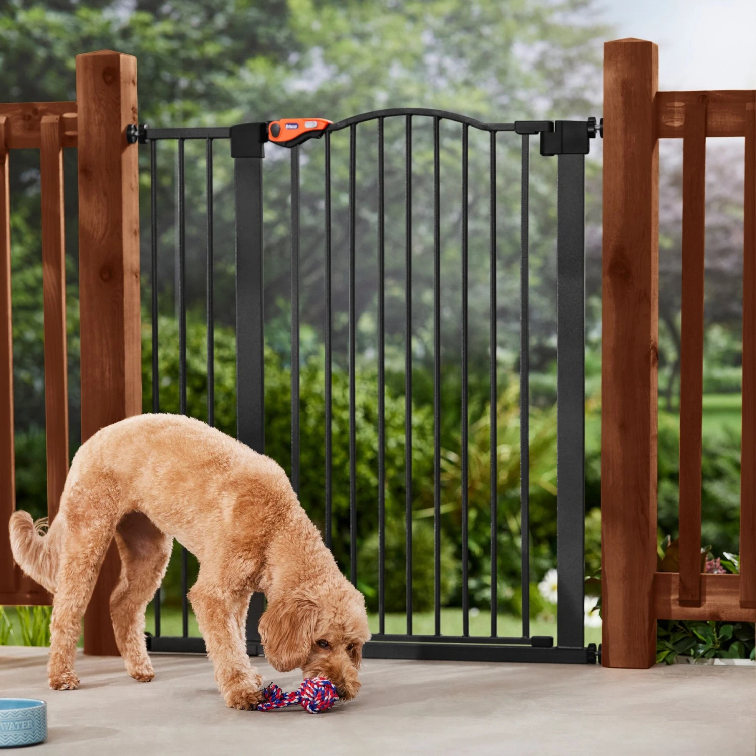 Frisco Outdoor Steel Arch Extra Tall Auto-Close Dog Gate 3 Frisco Outdoor Steel Arch Extra Tall Auto-Close Dog Gate