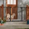 Frisco Outdoor Steel Arch Extra Wide Auto-Close Dog Gate 1 Frisco Outdoor Steel Arch Extra Wide Auto-Close Dog Gate -Frisco 507118 MAIN. AC SS1800 V1668737294