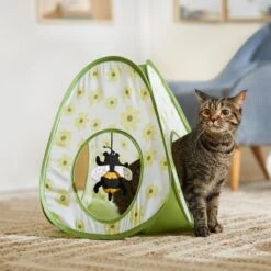 Frisco 36 Frisco Spring Daisy Pop-Up Tent Cat Toy With Catnip