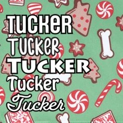 Frisco Gingerbread Treats Personalized Dog & Cat Bandana -Frisco 564502 PT4. AC SS1800 V1660250970