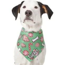 Frisco Gingerbread Treats Personalized Dog & Cat Bandana -Frisco 564502 PT6. AC SS1800 V1660405305