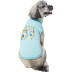 Frisco Birthday Celebration Dog & Cat T-Shirt 12 Frisco Birthday Celebration Dog & Cat T-Shirt -Frisco 608318 PT3. AC SS1800 V1676643253