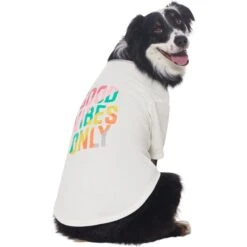 Frisco Good Vibes Only Dog & Cat T-Shirt -Frisco 608518 PT3. AC SS1800 V1676642216
