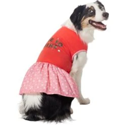 Frisco Time To Shine Dog & Cat Dress -Frisco 608638 PT3. AC SS1800 V1676644904