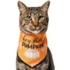Frisco Hey There Pumpkin Dog & Cat Bandana -Frisco 706374 MAIN. AC SS1800 V1689351106